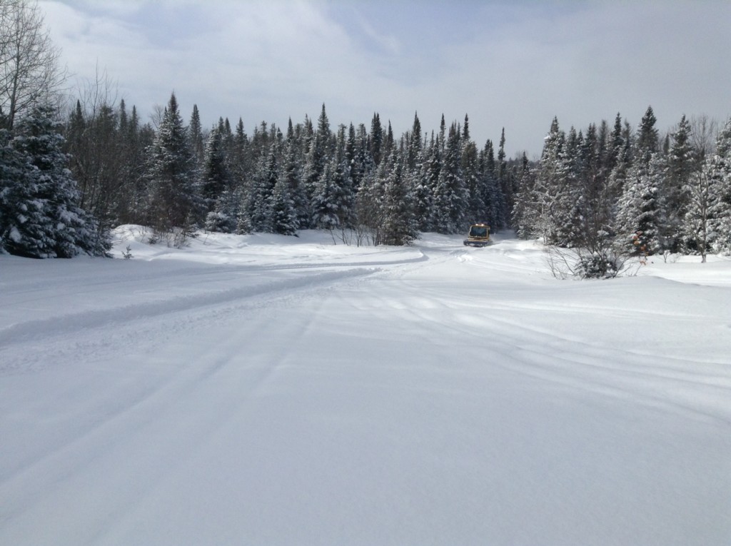 powleygroomer