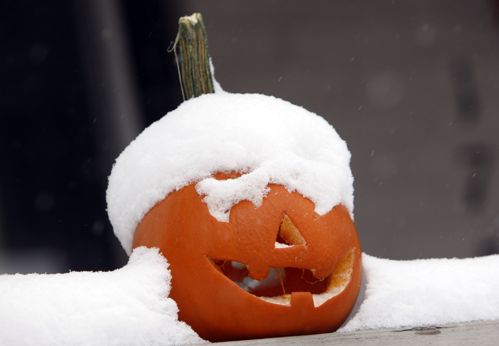 Snow on the Pumpkin