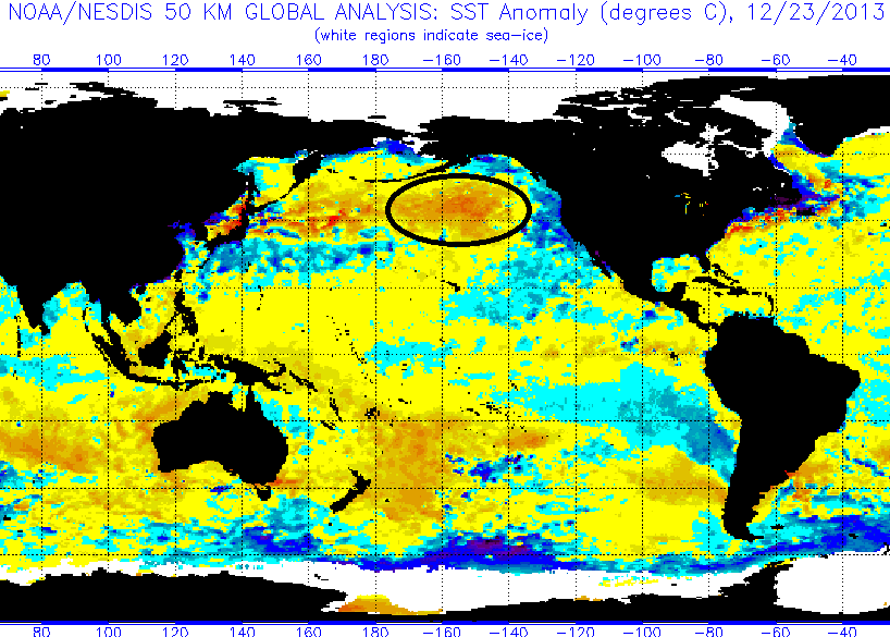 Warm northeast Pacific