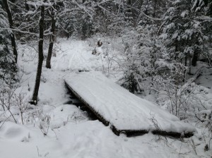 Displaced bridge on S84