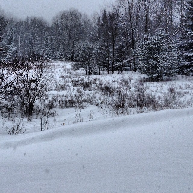 Adirondack snow