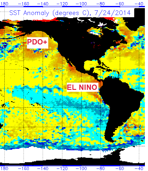 Sea Surface Temperature Anomaly