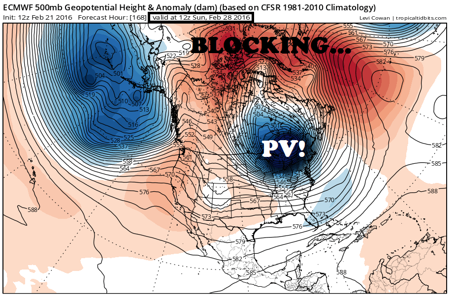 ecmwf_z500a_namer_8