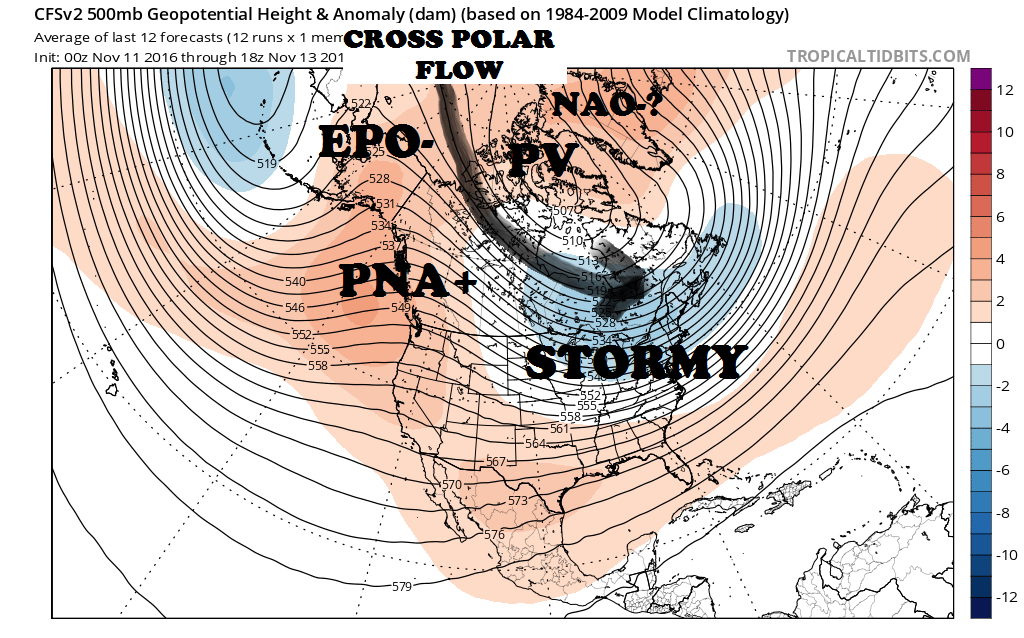 cfs-mon_01_z500a_namer_3