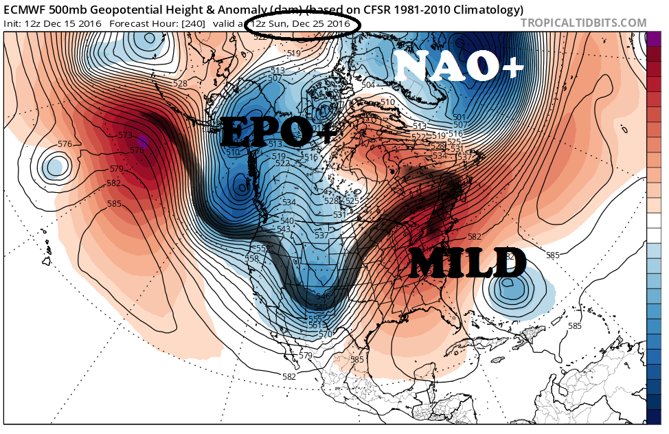 ecmwf_z500a_namer_11