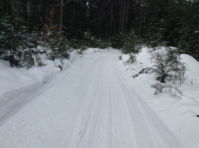 Blue Mountain Trail