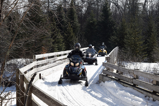 Cedar River Bridge