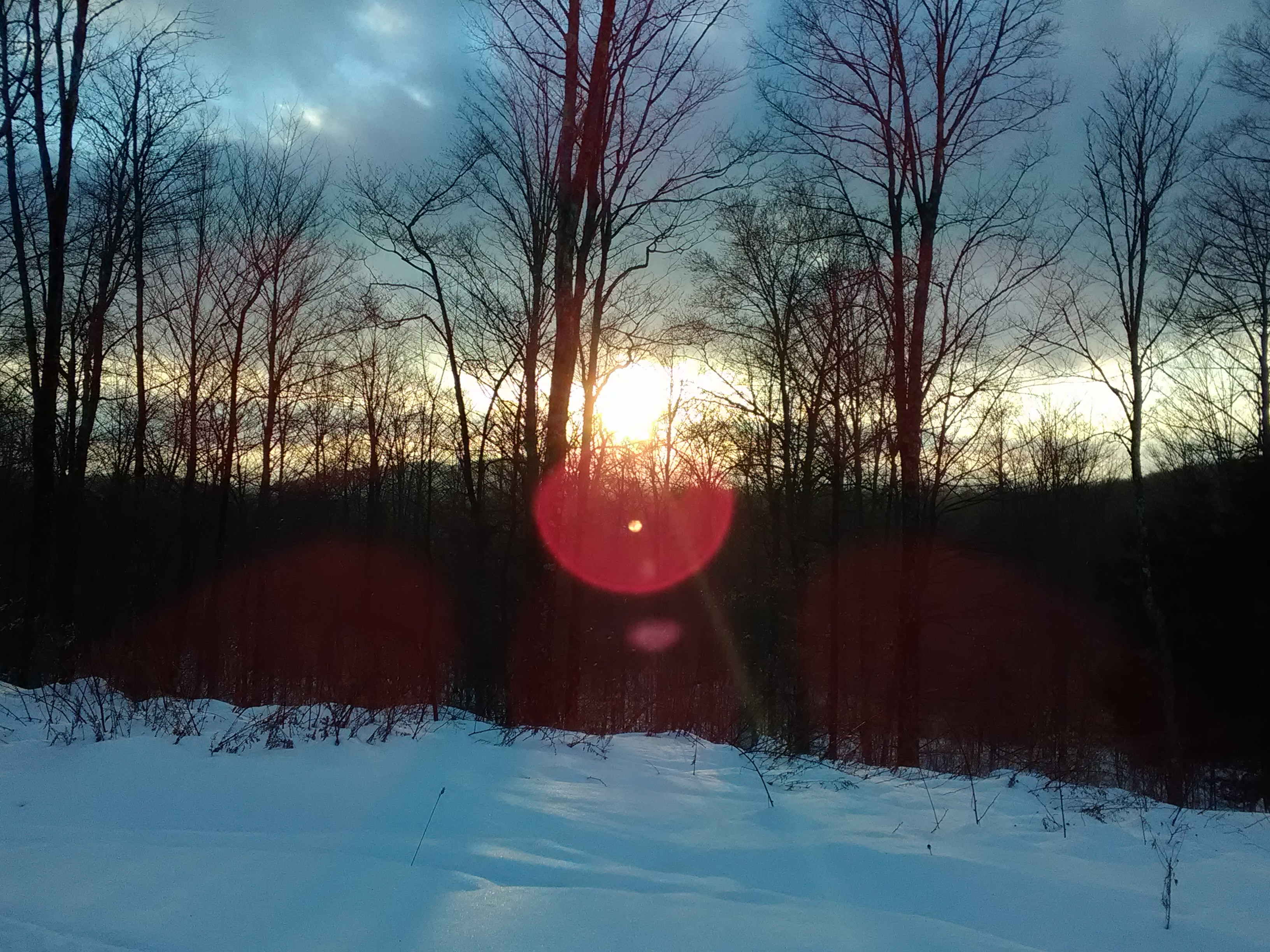 Wednesday Afternoon Stroll Update 2/14/18