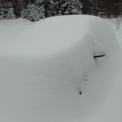 buried_car