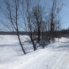 ff4605cb-4749-4312-985f-52fca14266f8