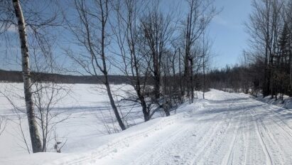 ff4605cb-4749-4312-985f-52fca14266f8