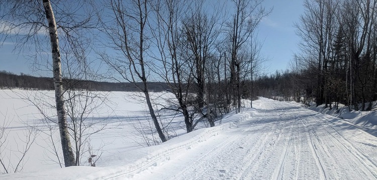 ff4605cb-4749-4312-985f-52fca14266f8