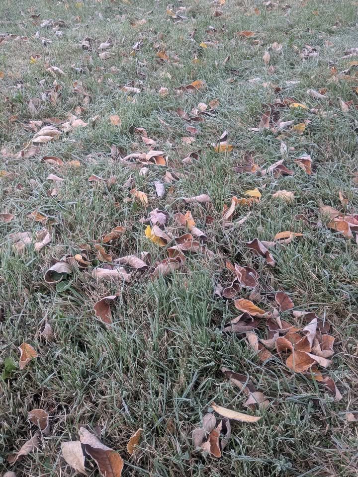 ilsnow.com
